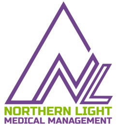 Northern Light Logo